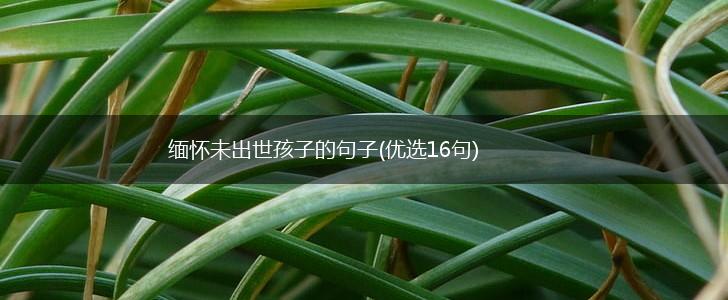 缅怀未出世孩子的句子(优选16句),第1张