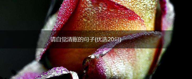请自觉清账的句子(优选20句),第1张