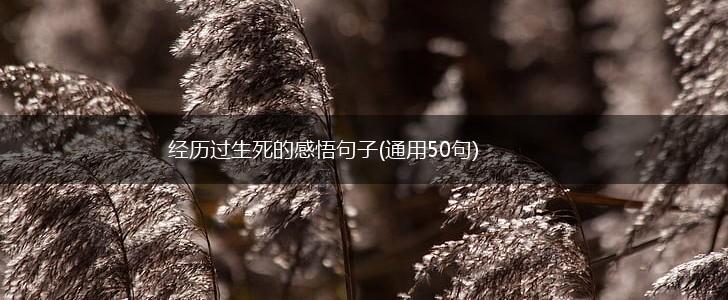 经历过生死的感悟句子(通用50句),第1张