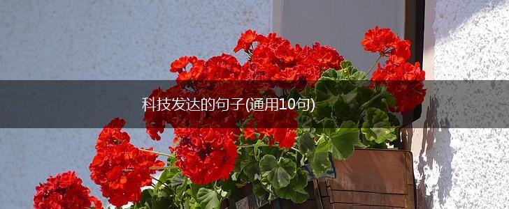 科技发达的句子(通用10句),第1张