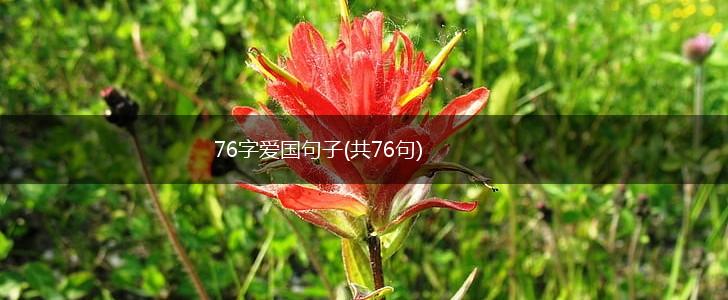 76字爱国句子(共76句),第1张