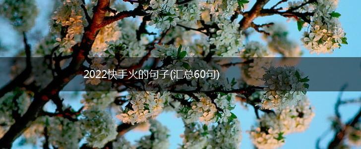 2022快手火的句子(汇总60句),第1张