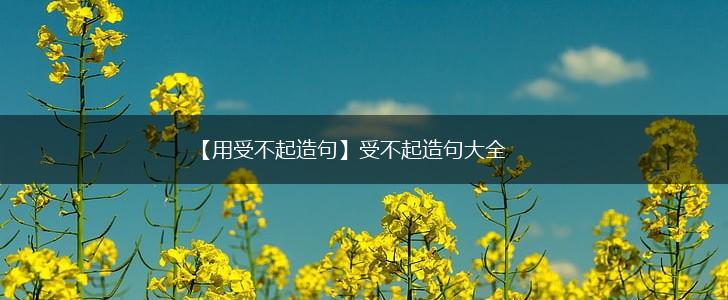 【用受不起造句】受不起造句大全,第1张