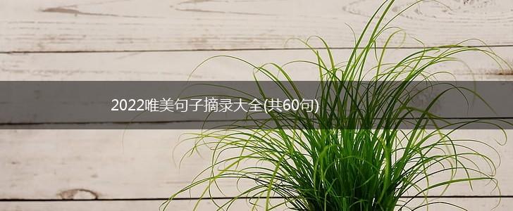 2022唯美句子摘录大全(共60句),第1张