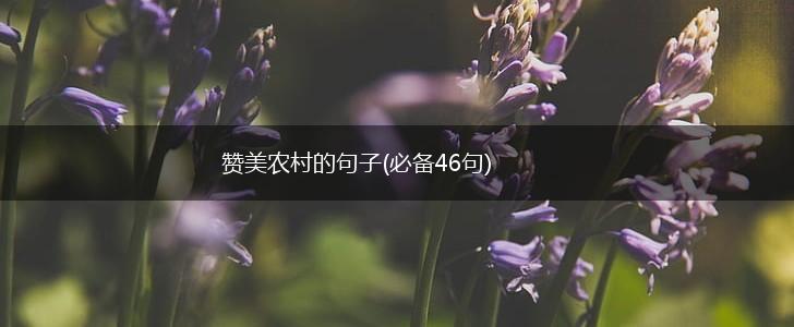 赞美农村的句子(必备46句),第1张