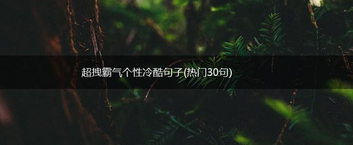 超拽霸气个性冷酷句子(热门30句),第1张