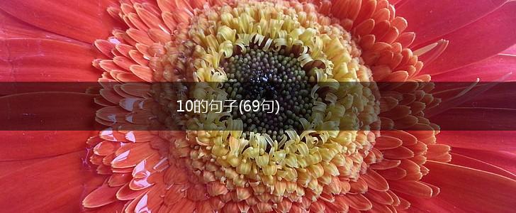 10的句子(69句),第1张
