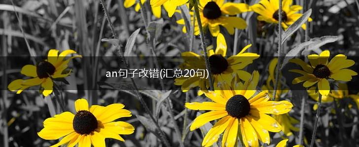 an句子改错(汇总20句),第1张