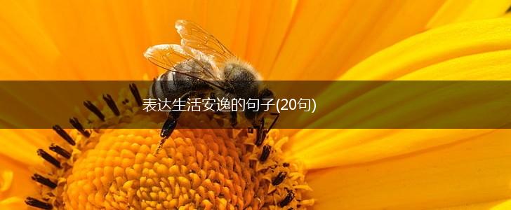 表达生活安逸的句子(20句),第1张