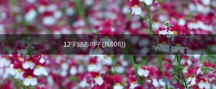 12字励志句子(共80句),第1张