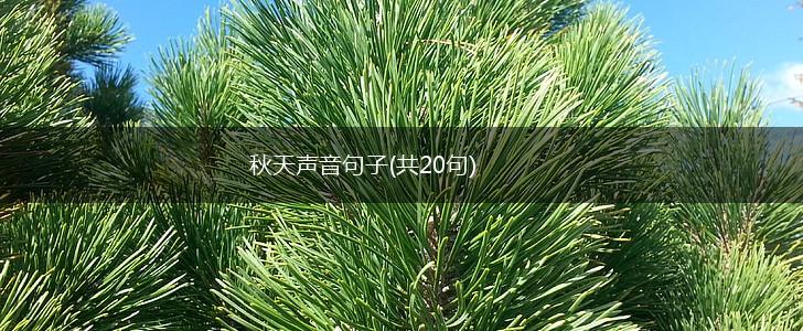 秋天声音句子(共20句),第1张