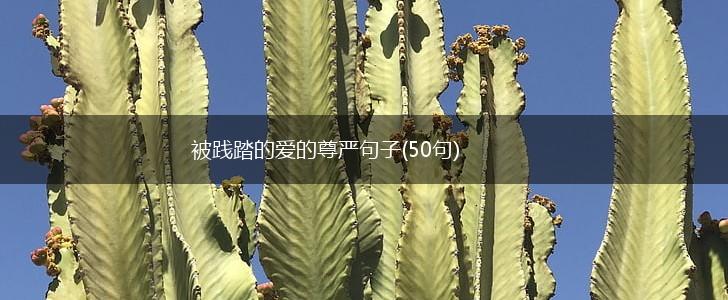 被践踏的爱的尊严句子(50句),第1张
