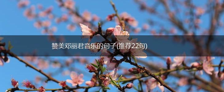 赞美邓丽君音乐的句子(推荐22句),第1张