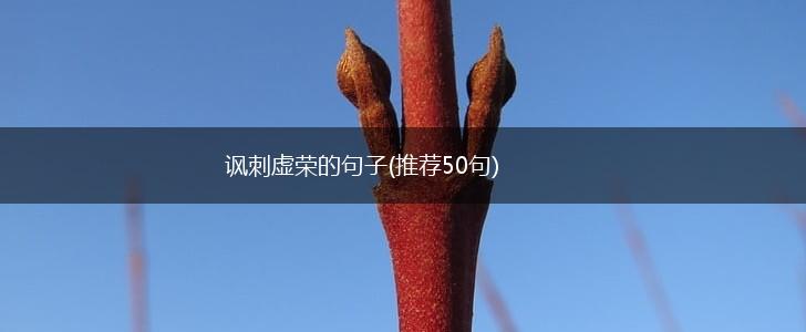 讽刺虚荣的句子(推荐50句),第1张