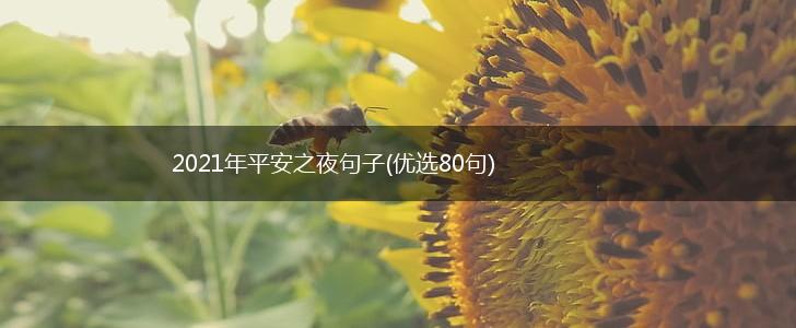 2021年平安之夜句子(优选80句),第1张