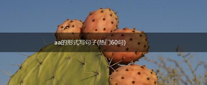 aa的形式写句子(热门60句),第1张