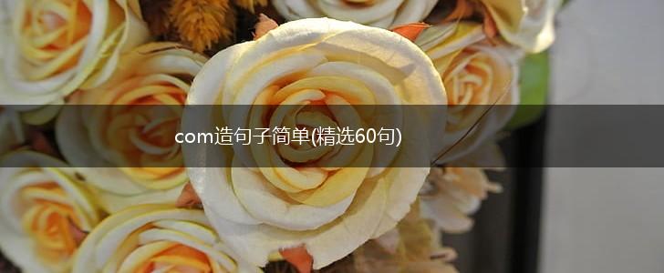 com造句子简单(精选60句),第1张