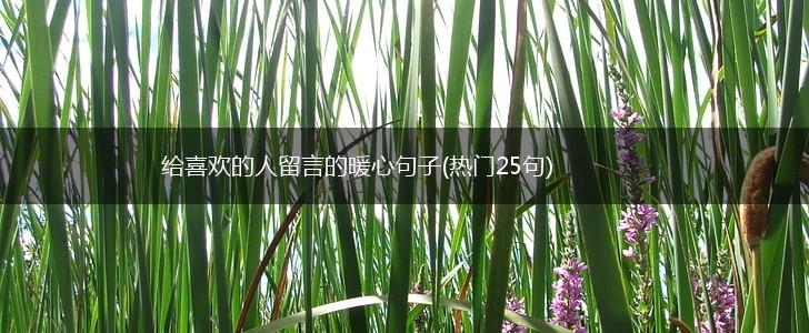 给喜欢的人留言的暖心句子(热门25句),第1张