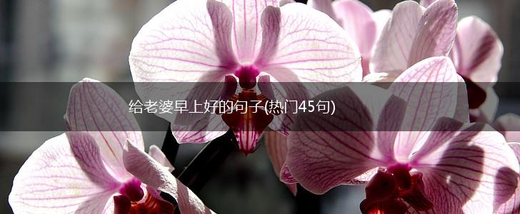 给老婆早上好的句子(热门45句),第1张