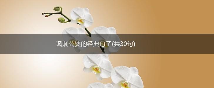 讽刺公婆的经典句子(共30句),第1张