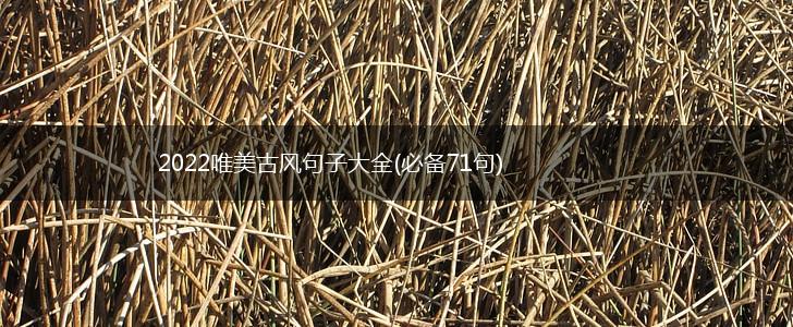 2022唯美古风句子大全(必备71句),第1张