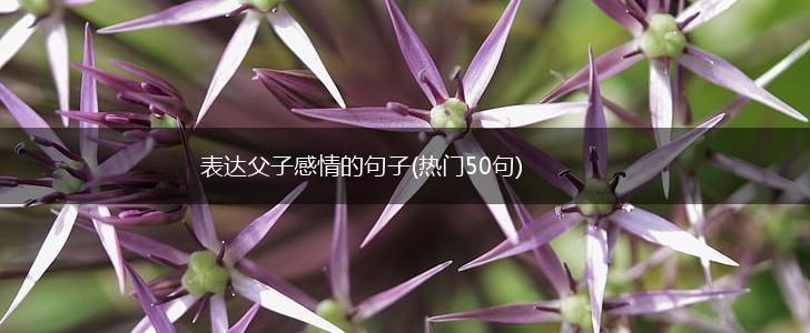 表达父子感情的句子(热门50句),第1张