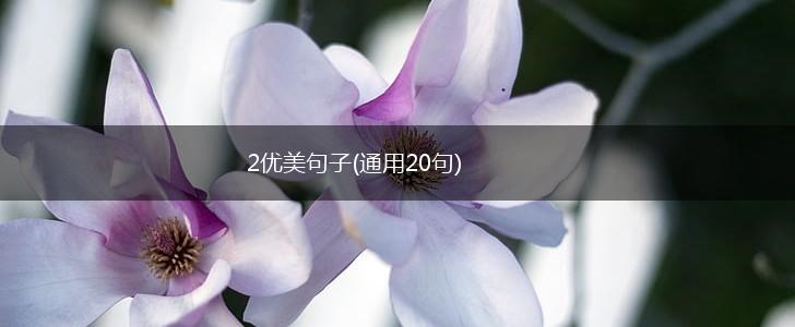 2优美句子(通用20句),第1张
