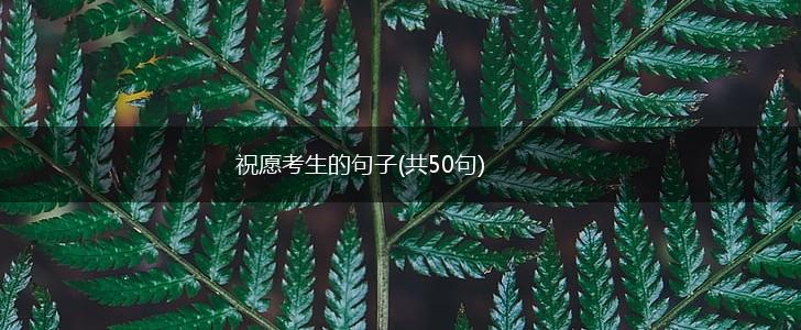 祝愿考生的句子(共50句),第1张