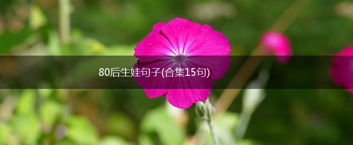 80后生娃句子(合集15句),第1张