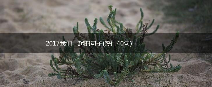 2017我们一起的句子(热门40句),第1张