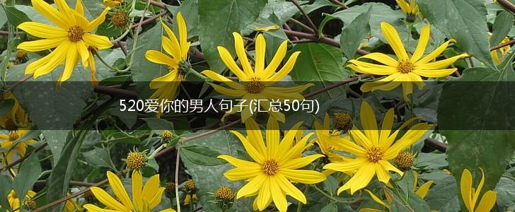 520爱你的男人句子(汇总50句),第1张