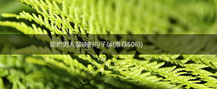 能把男人聊硬的句子舔(推荐60句),第1张