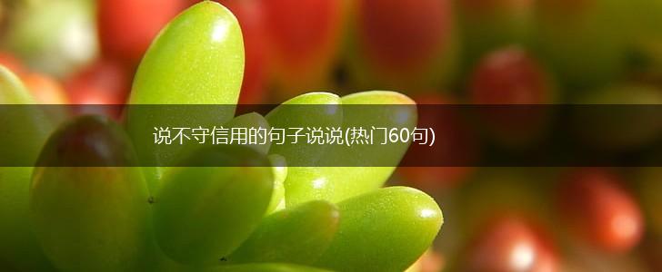 说不守信用的句子说说(热门60句),第1张