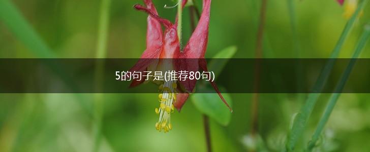 5的句子是(推荐80句),第1张