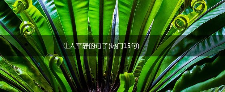 让人平静的句子(热门15句),第1张
