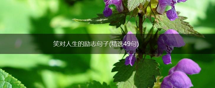 笑对人生的励志句子(精选49句),第1张