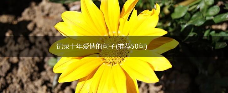 记录十年爱情的句子(推荐50句),第1张