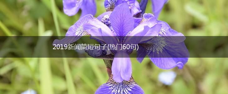 2019新闻简短句子(热门60句),第1张