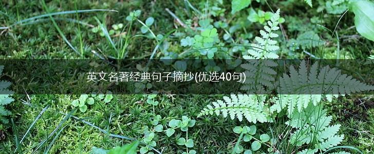 英文名著经典句子摘抄(优选40句),第1张
