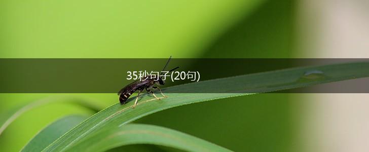 35秒句子(20句),第1张
