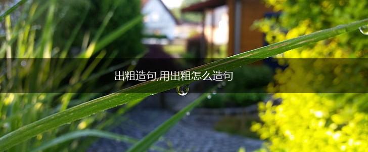 出粗造句,用出粗怎么造句,第1张
