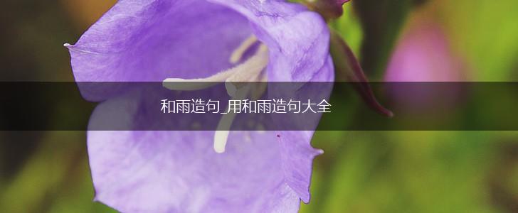 和雨造句_用和雨造句大全,第1张