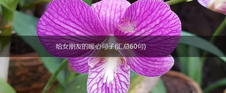 给女朋友的暖心句子(汇总60句),第1张