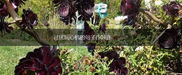 讨厌玩心机的句子(50句),第1张