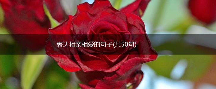 表达相亲相爱的句子(共50句),第1张