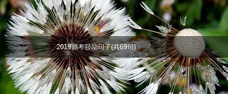 2019高考鼓励句子(共69句),第1张