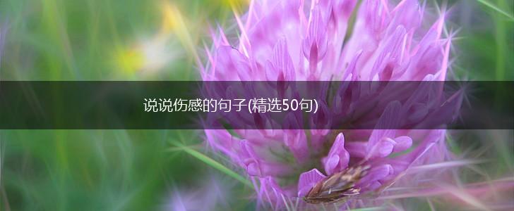 说说伤感的句子(精选50句),第1张