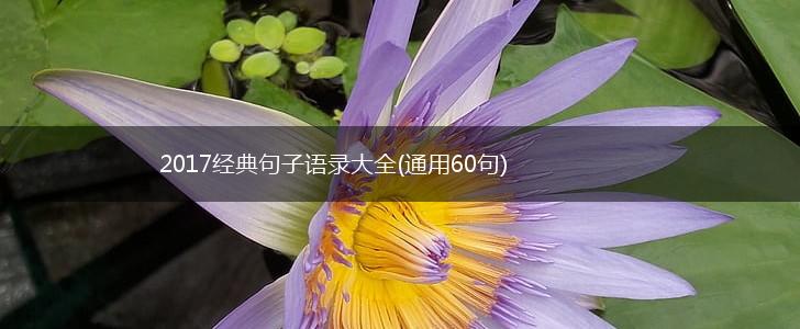 2017经典句子语录大全(通用60句),第1张