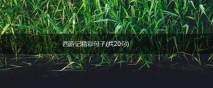 西游记精彩句子(共20句),第1张