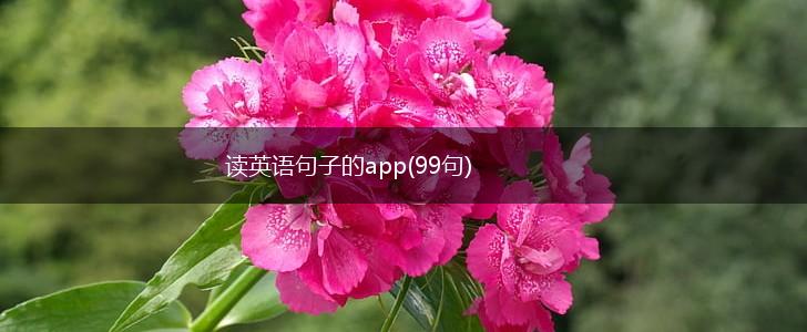 读英语句子的app(99句),第1张